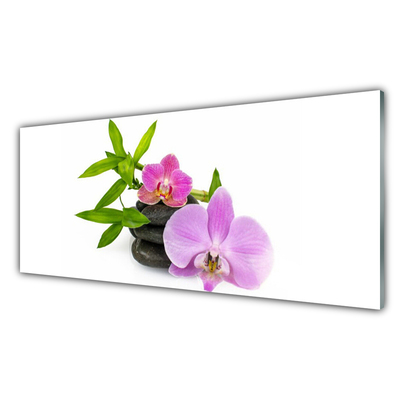 Tablou pe sticla Pietrele florale flori roz negru