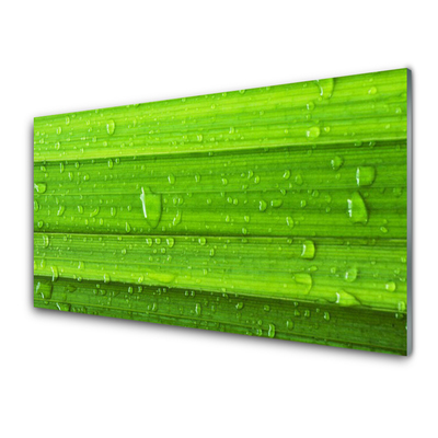 Tablou pe sticla Iarbă Natura verde