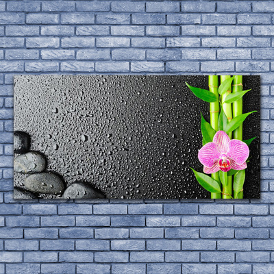 Tablou pe sticla Bamboo Peduncul flori Stones verde florale roz negru