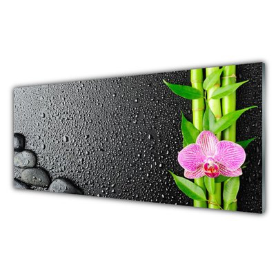 Tablou pe sticla Bamboo Peduncul flori Stones verde florale roz negru