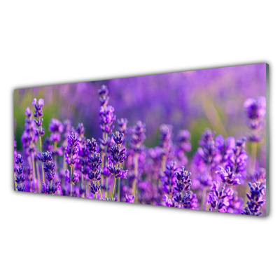 Tablou pe sticla Flori Floral violet