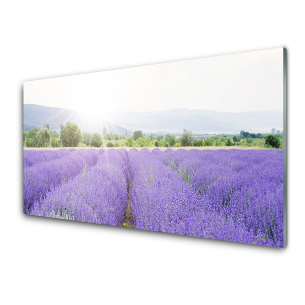 Tablou pe sticla Flori Meadow Natura Purple