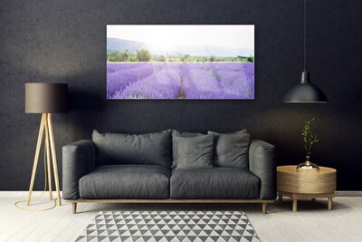 Tablou pe sticla Flori Meadow Natura Purple