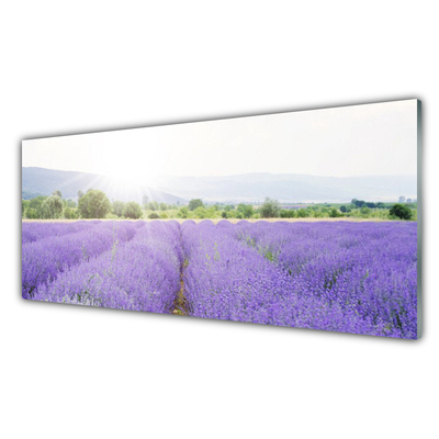 Tablou pe sticla Flori Meadow Natura Purple