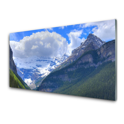 Tablou pe sticla Munții Peisaj Gri Albastru Alb Verde
