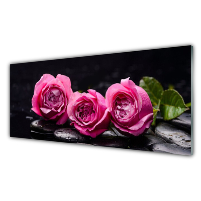 Tablou pe sticla Trandafiri pietre Floral Rosu Negru