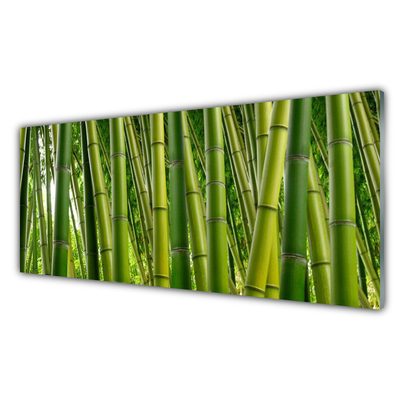 Tablou pe sticla Bamboo Tulpini Floral Verde