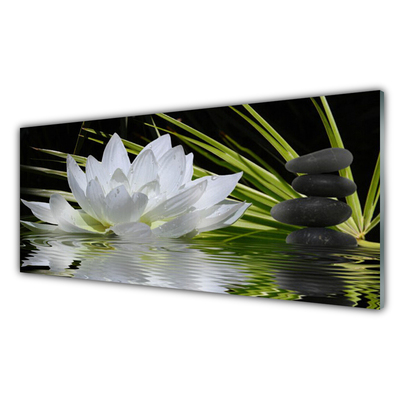 Tablou pe sticla Pietrele de flori Apă Floral Alb Negru
