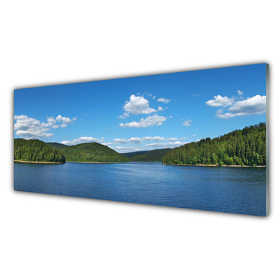 Tablou pe sticla Lake Forest Peisaj verde albastru
