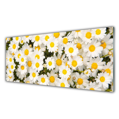 Tablou pe sticla Daisy Floral Galben Alb