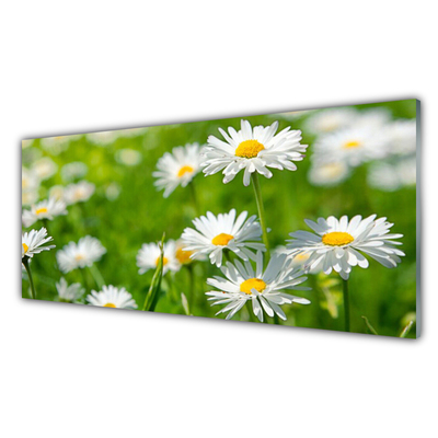 Tablou pe sticla Daisy Floral Galben Alb