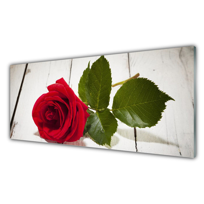 Tablou pe sticla Rose Floral Red
