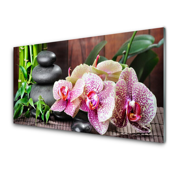Tablou pe sticla Bamboo pietre Flori Floral Verde Gri Roz