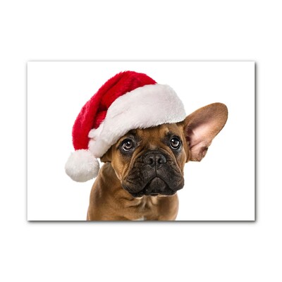 Tablou pe sticla Bulldog Christmas Dog