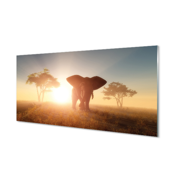 Panouri de sticlă Elephant copac est
