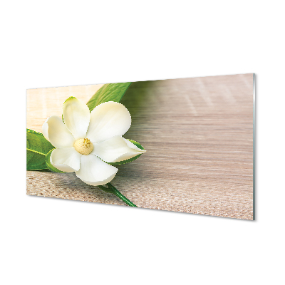 Panouri de sticlă magnolie alb