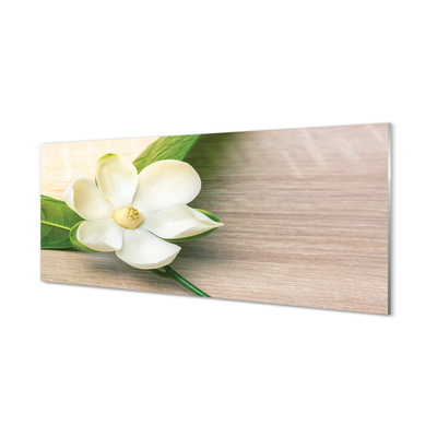 Panouri de sticlă magnolie alb