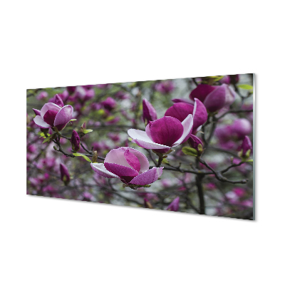 Panouri de sticlă magnolie violet