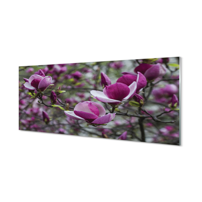 Panouri de sticlă magnolie violet