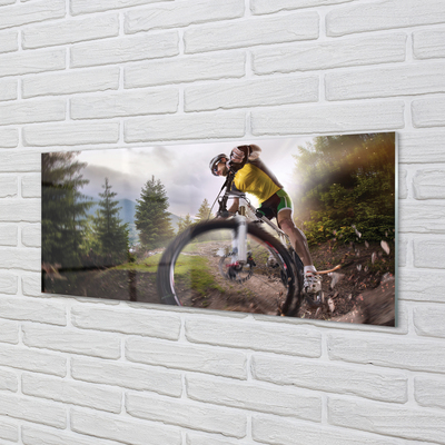 Panouri de sticlă Cloud mountain bike