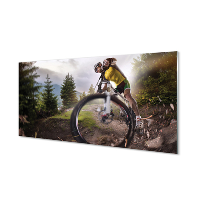 Panouri de sticlă Cloud mountain bike