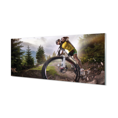 Panouri de sticlă Cloud mountain bike