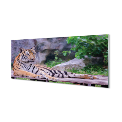 Panouri de sticlă Tiger într-o grădină zoologică