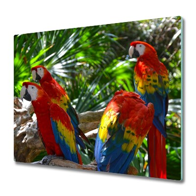Tocator din sticla macaws papagali