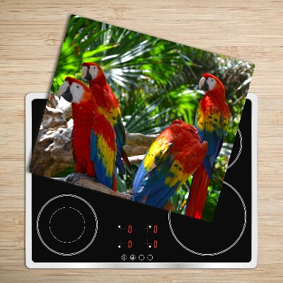Tocator din sticla macaws papagali