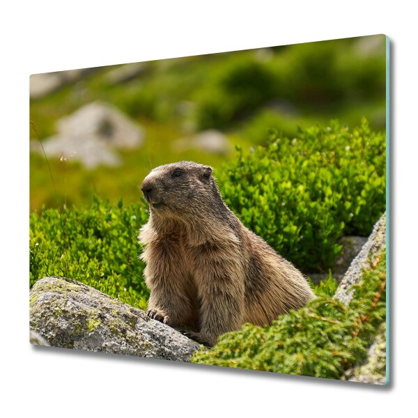 Tocator din sticla Marmot tatra