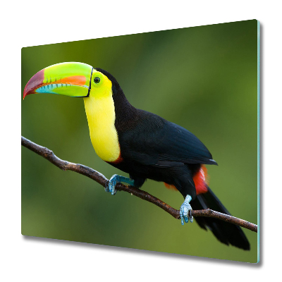 Tocator din sticla Toucan