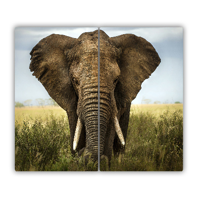 Tocator din sticla Elephant Savanna