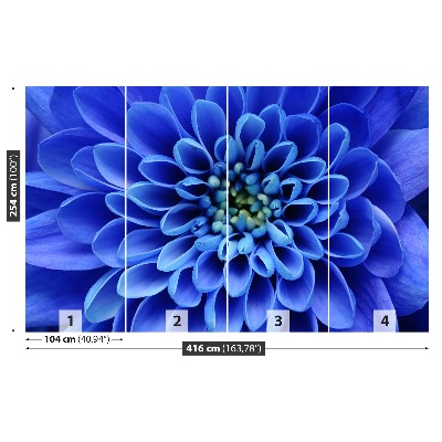 Fototapet floare albastră