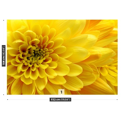 Fototapet Floare galbenă