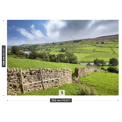 Fototapet Yorkshire Valley