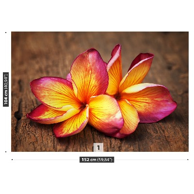 Fototapet plumeria din lemn