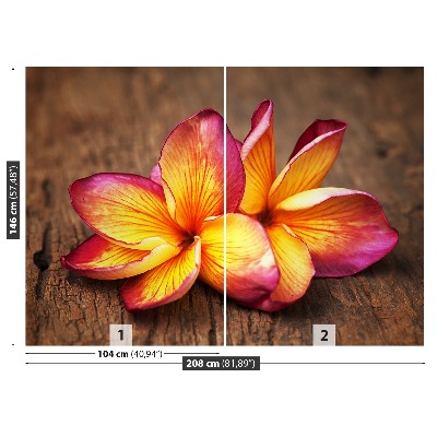 Fototapet plumeria din lemn