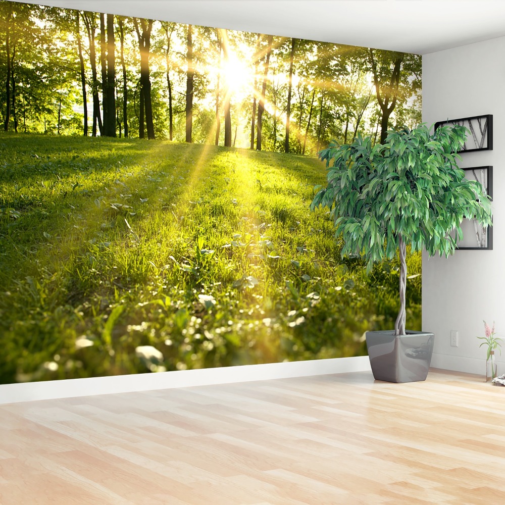 Fototapet Forest Sun.
