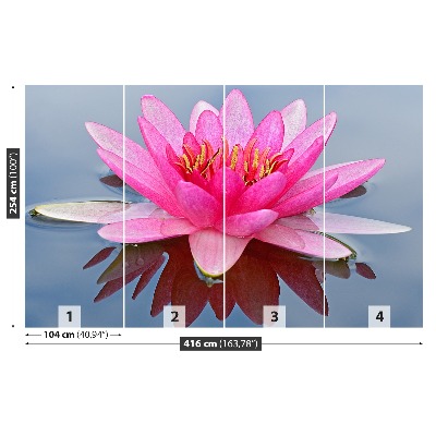 Fototapet Pink Water Lily