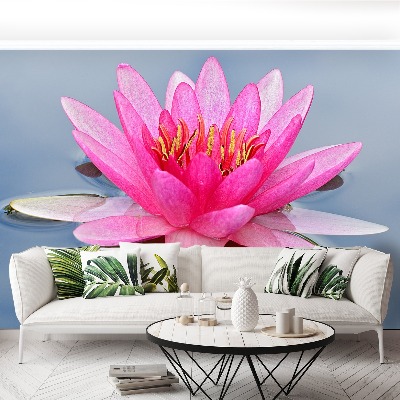 Fototapet Pink Water Lily