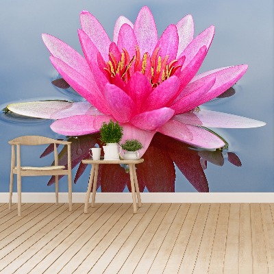 Fototapet Pink Water Lily