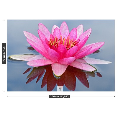 Fototapet Pink Water Lily