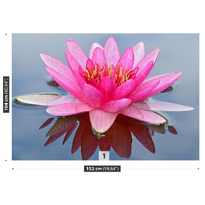 Fototapet Pink Water Lily