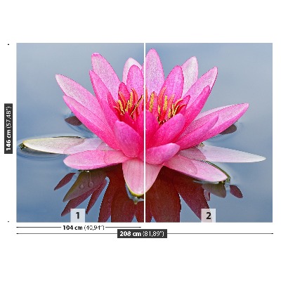 Fototapet Pink Water Lily