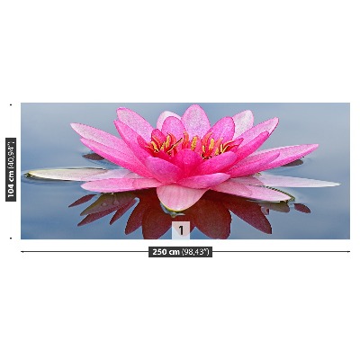 Fototapet Pink Water Lily