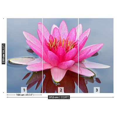 Fototapet Pink Water Lily