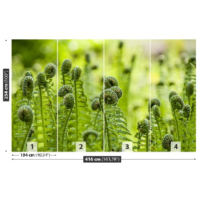 Fototapet Green Fern