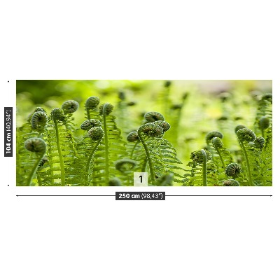 Fototapet Green Fern