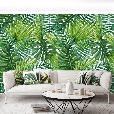 Fototapet Frunze de palmier