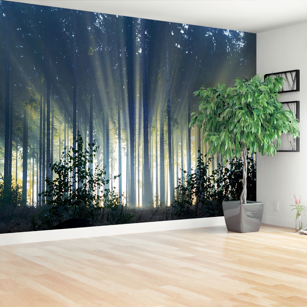 Fototapet molid Forest